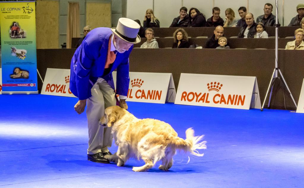 {Clic pour voir plus grand}