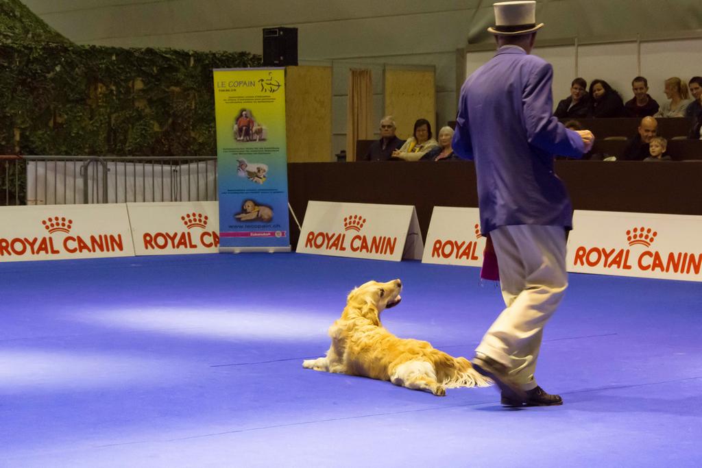 {Clic pour voir plus grand}