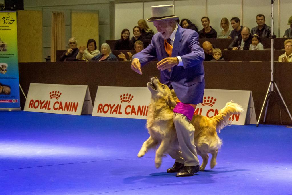 {Clic pour voir plus grand}