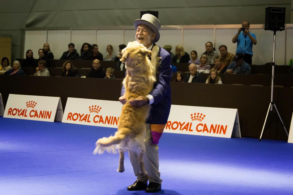 {Clic pour voir plus grand}