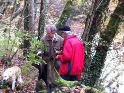 Click to see big picture (1024x765 pixels; 195 KB)