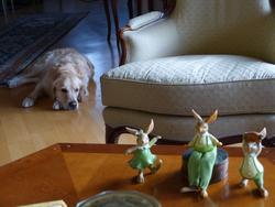 Click to see big picture (1024x768 pixels; 86 KB)