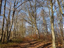 Click to see big picture (1024x768 pixels; 297 KB)