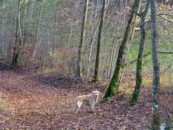 Click to see big picture (1024x768 pixels; 281 KB)