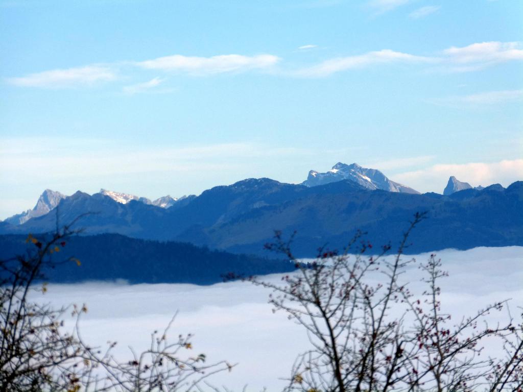 {Clic pour voir plus grand}