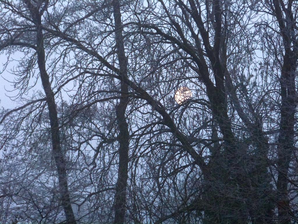 {Clic pour voir plus grand}