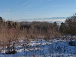 Click to see big picture (1024x768 pixels; 142 KB)