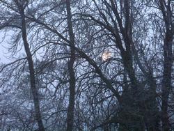 Click to see big picture (1024x768 pixels; 223 KB)