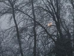 Click to see big picture (1024x768 pixels; 152 KB)