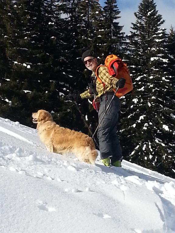 {Clic pour voir plus grand}