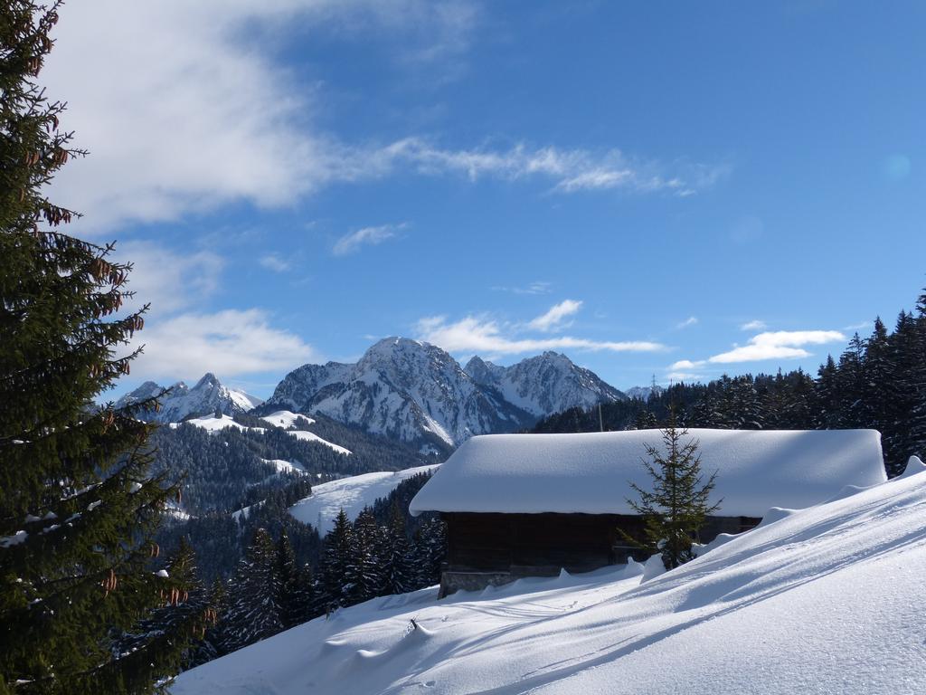 {Clic pour voir plus grand}