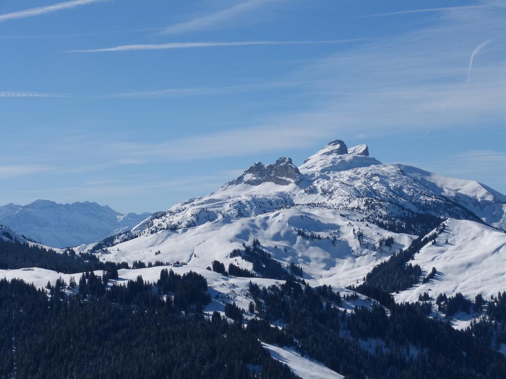 {Clic pour voir plus grand}