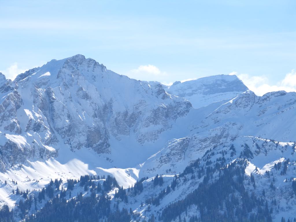 {Clic pour voir plus grand}