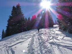 Click to see big picture (1024x768 pixels; 138 KB)