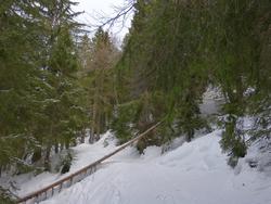 Click to see big picture (1024x768 pixels; 139 KB)