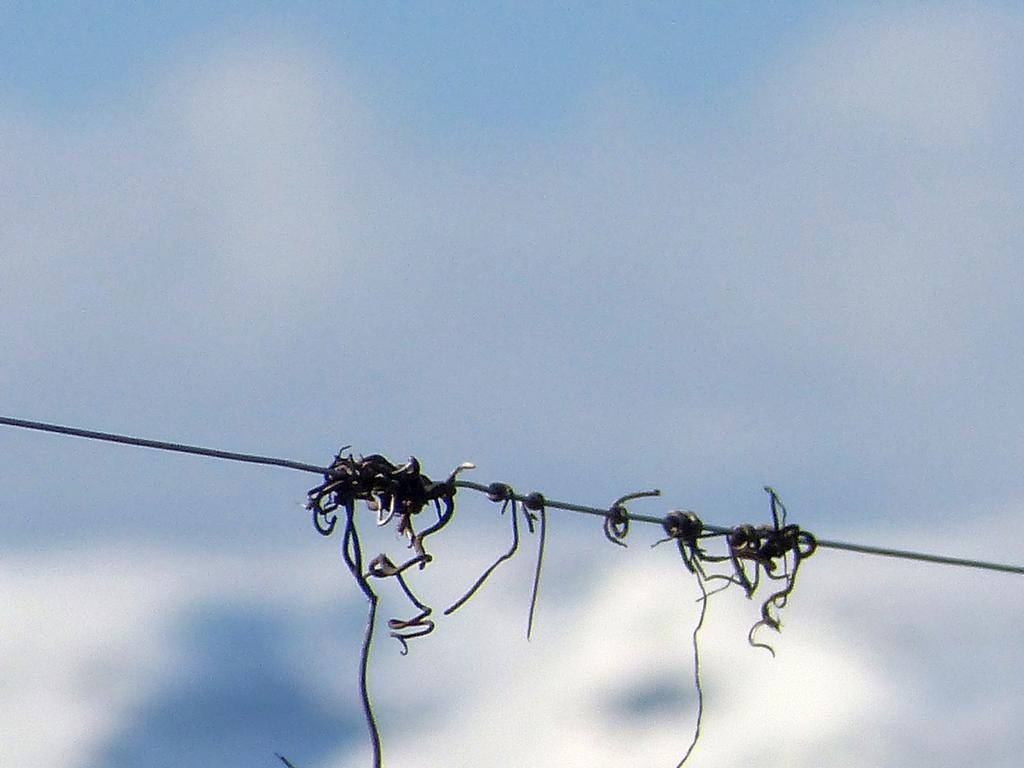 {Clic pour voir plus grand}