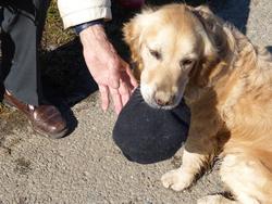 Click to see big picture (1024x768 pixels; 161 KB)