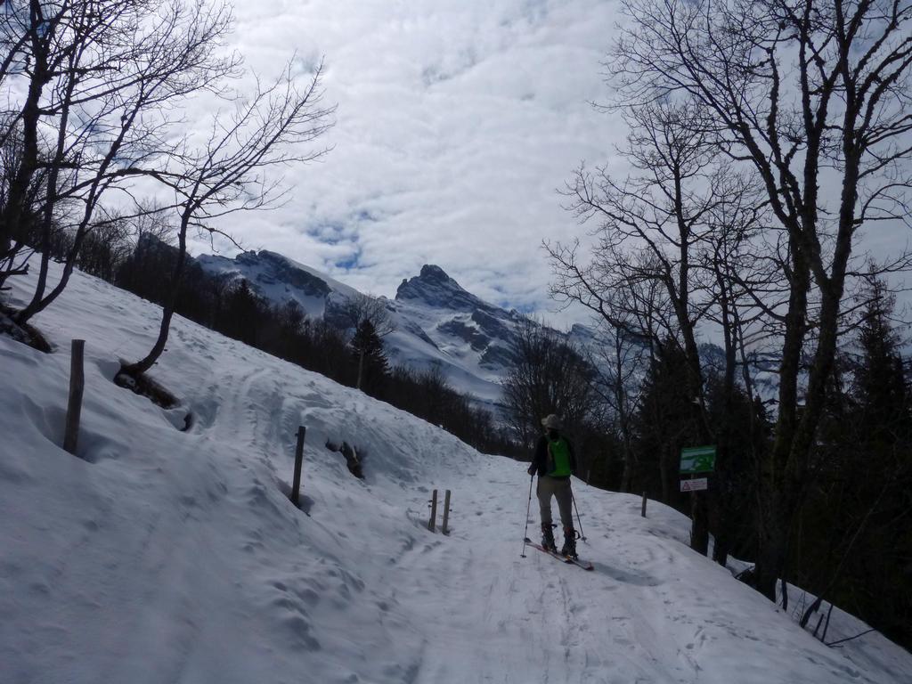 {Clic pour voir plus grand}