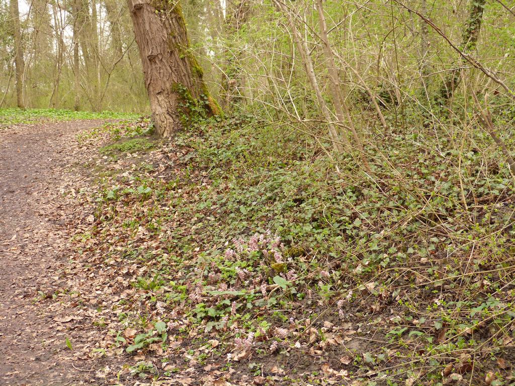 {Clic pour voir plus grand}