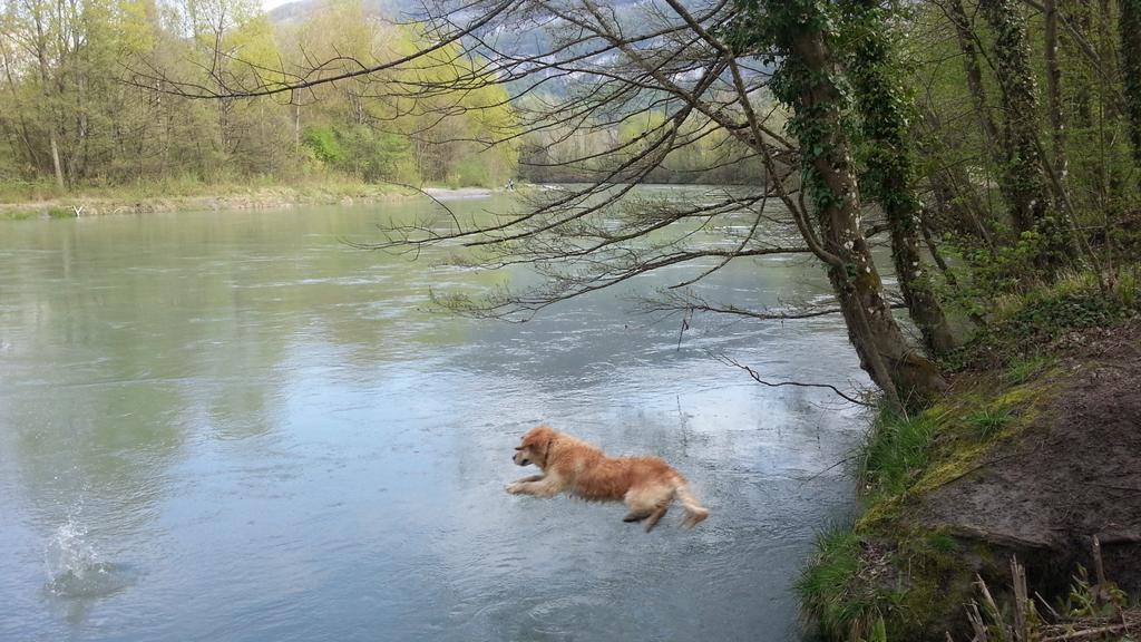 {Clic pour voir plus grand}