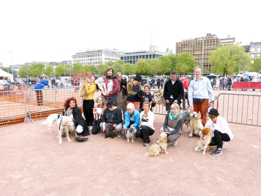 {Clic pour voir plus grand}