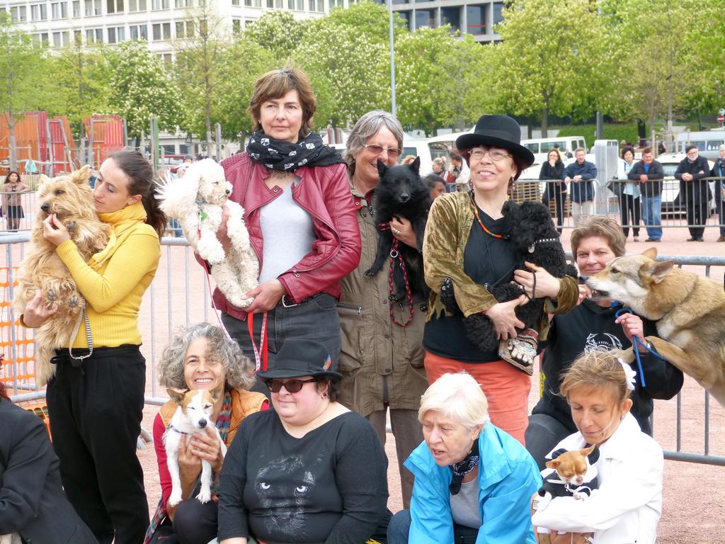 {Clic pour voir plus grand}