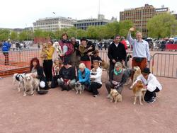 Click to see big picture (1024x768 pixels; 159 KB)