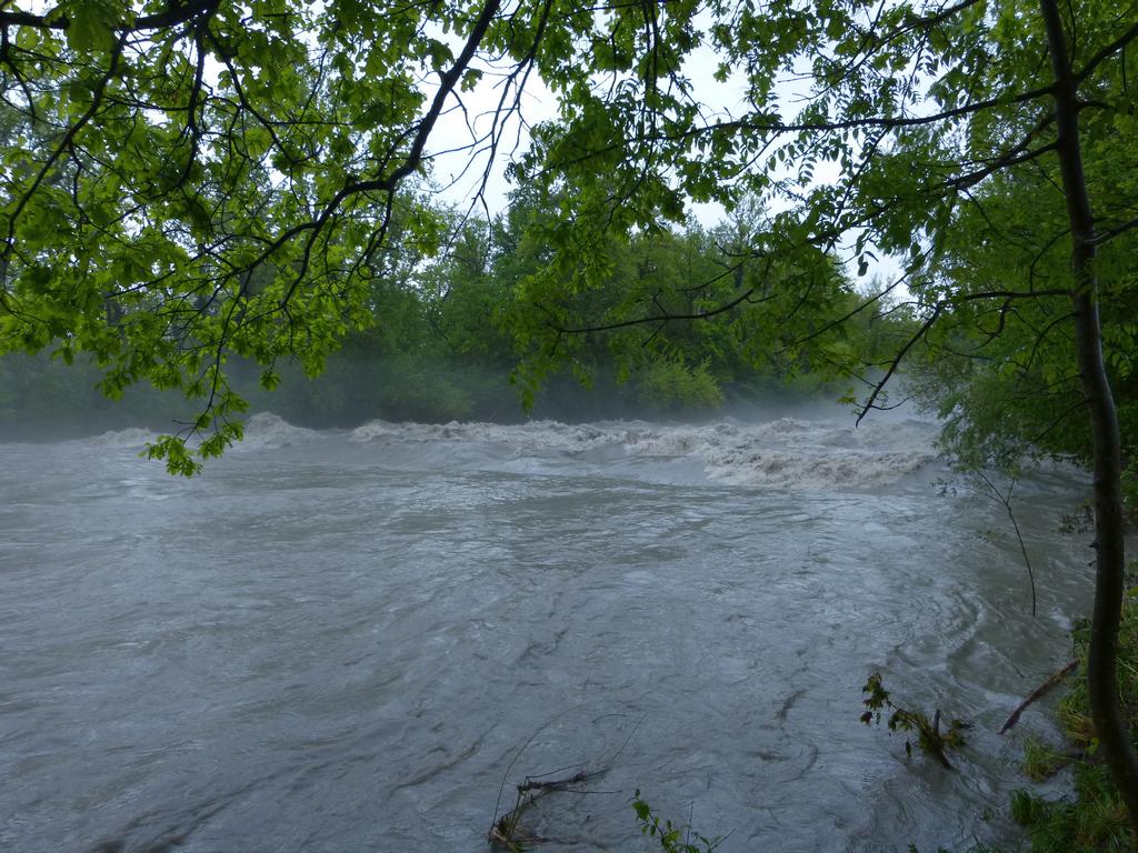 {Clic pour voir plus grand}