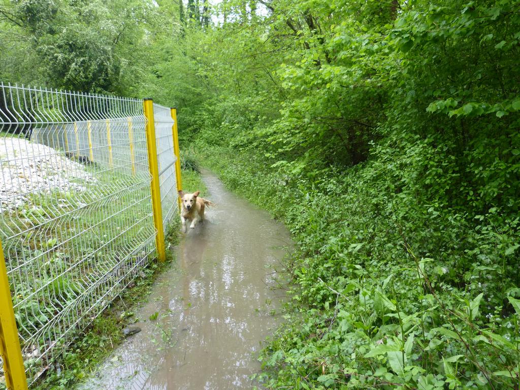 {Clic pour voir plus grand}