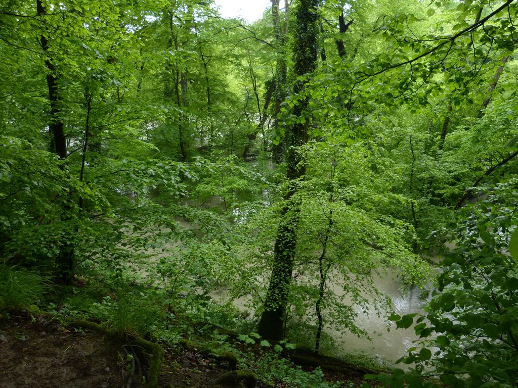 {Clic pour voir plus grand}