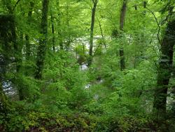 Click to see big picture (1024x768 pixels; 216 KB)