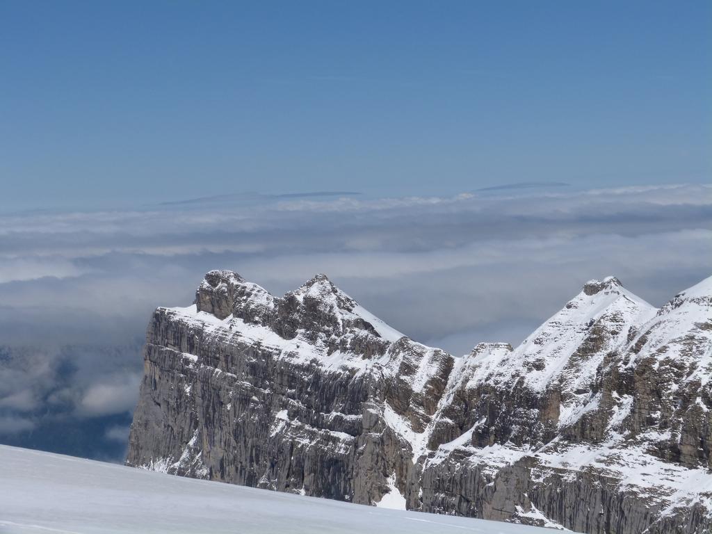 {Clic pour voir plus grand}