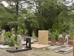 Click to see big picture (1024x768 pixels; 212 KB)