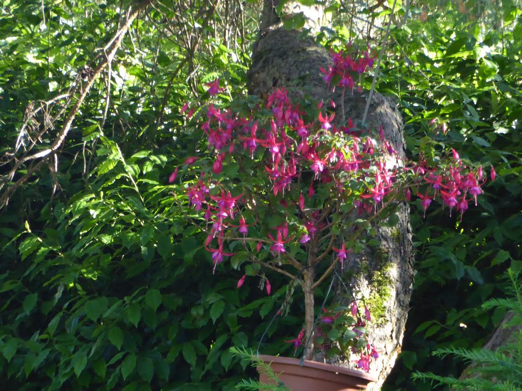 {Clic pour voir plus grand}