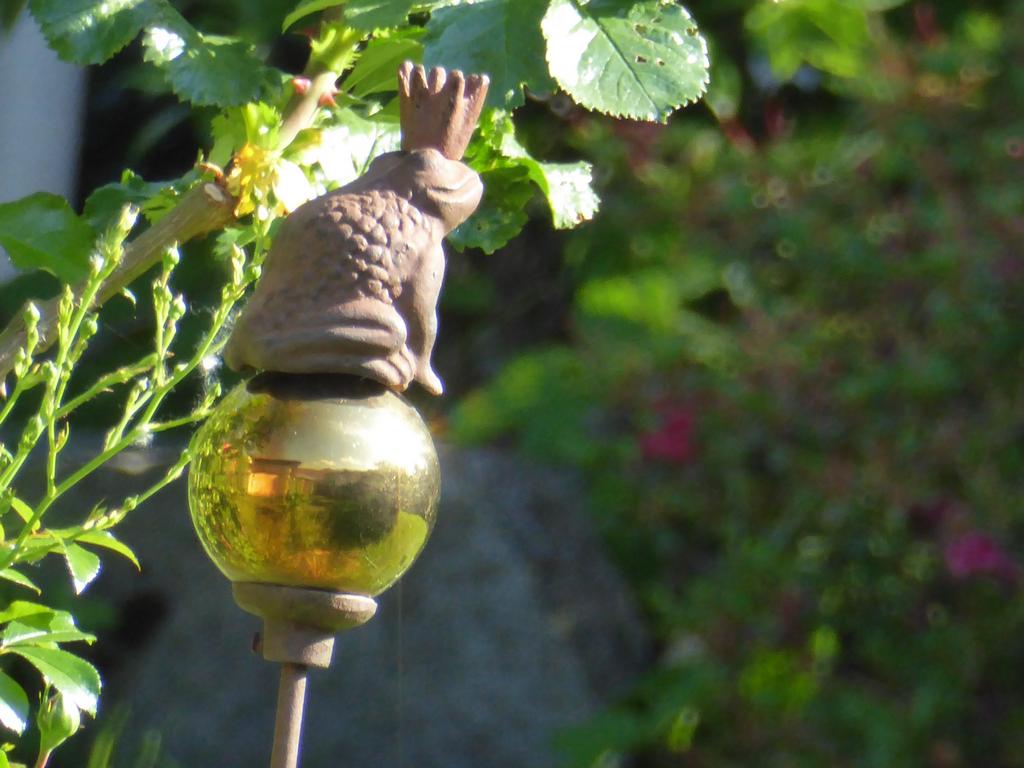 {Clic pour voir plus grand}