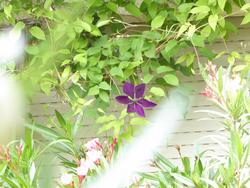 Click to see big picture (1024x768 pixels; 113 KB)