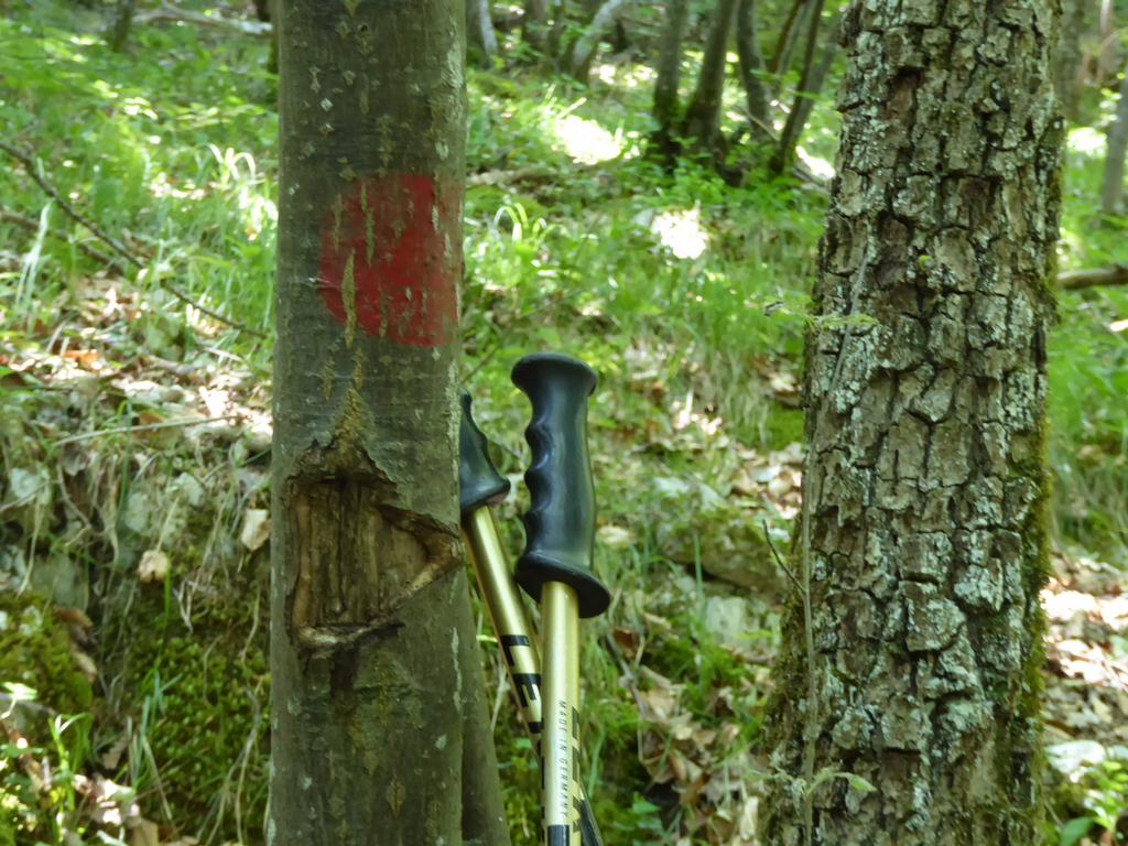 {Clic pour voir plus grand}