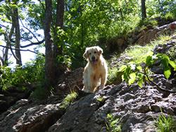 Click to see big picture (1024x768 pixels; 241 KB)