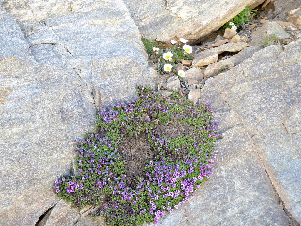 {Clic pour voir plus grand}