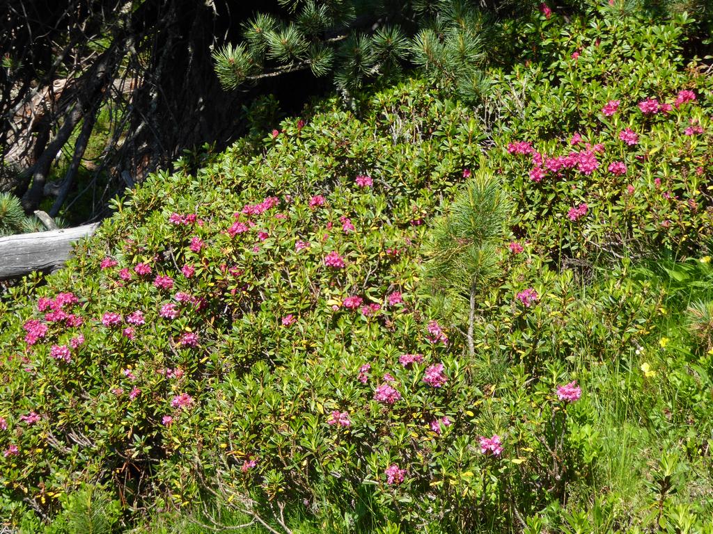 {Clic pour voir plus grand}