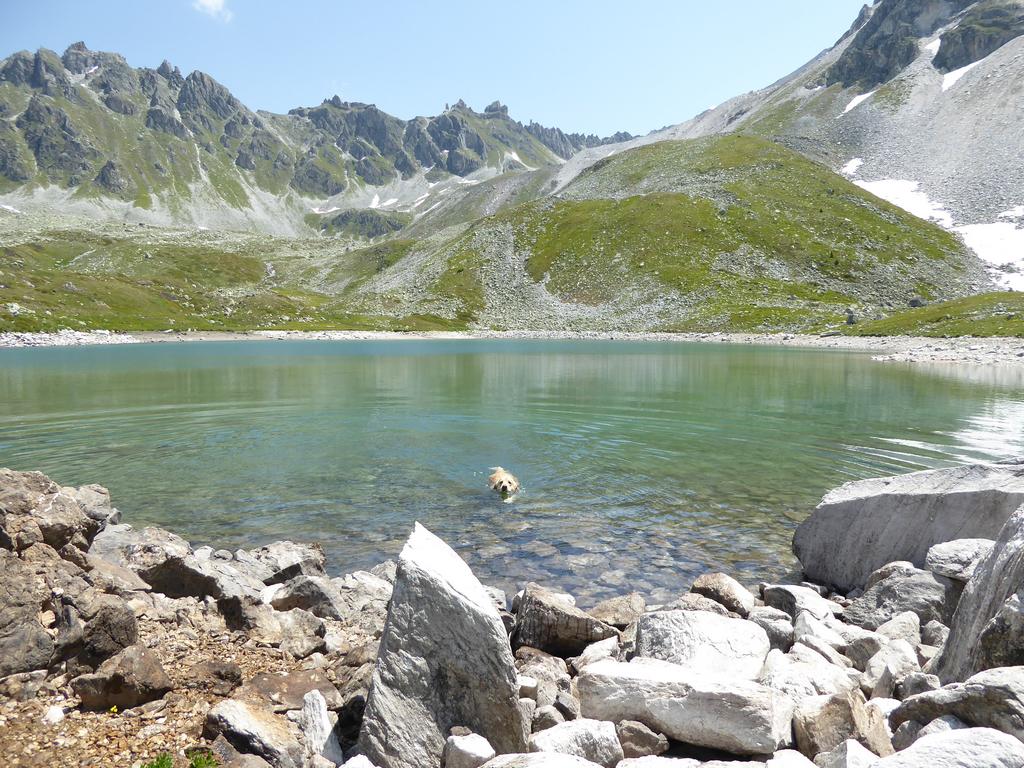 {Clic pour voir plus grand}