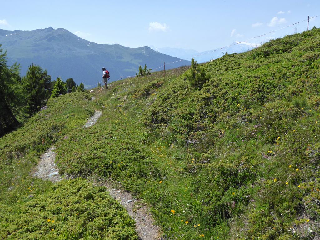 {Clic pour voir plus grand}