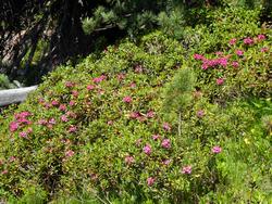 Click to see big picture (1024x768 pixels; 308 KB)