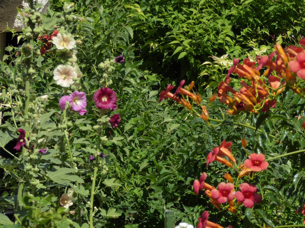 {Clic pour voir plus grand}