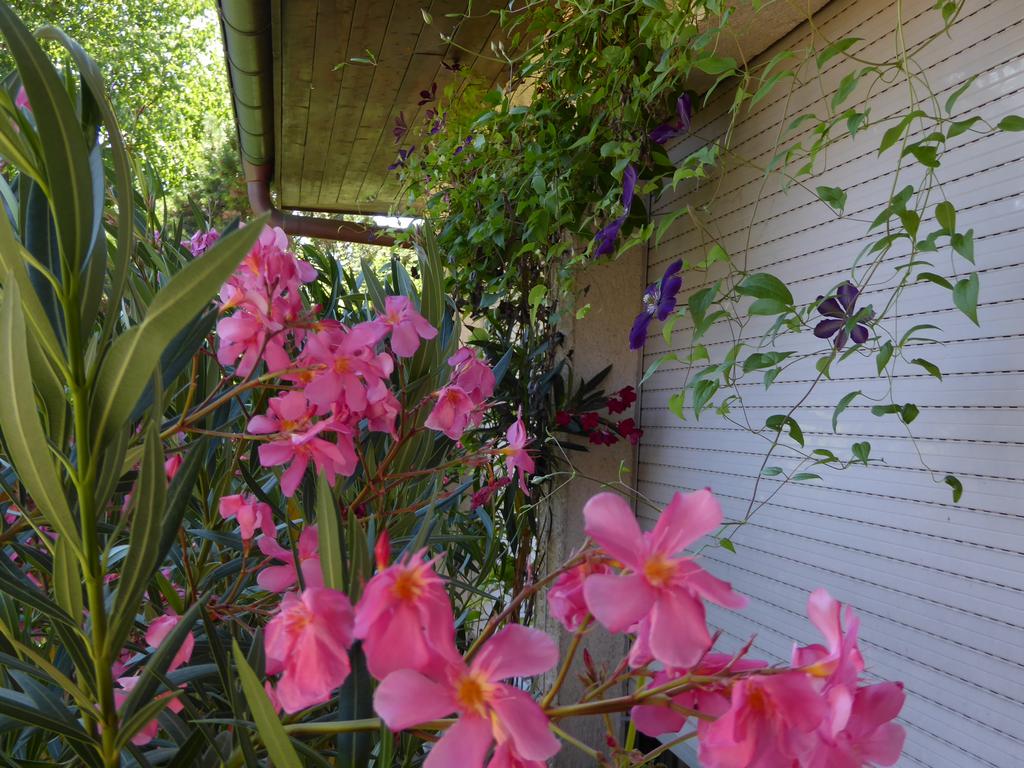 {Clic pour voir plus grand}