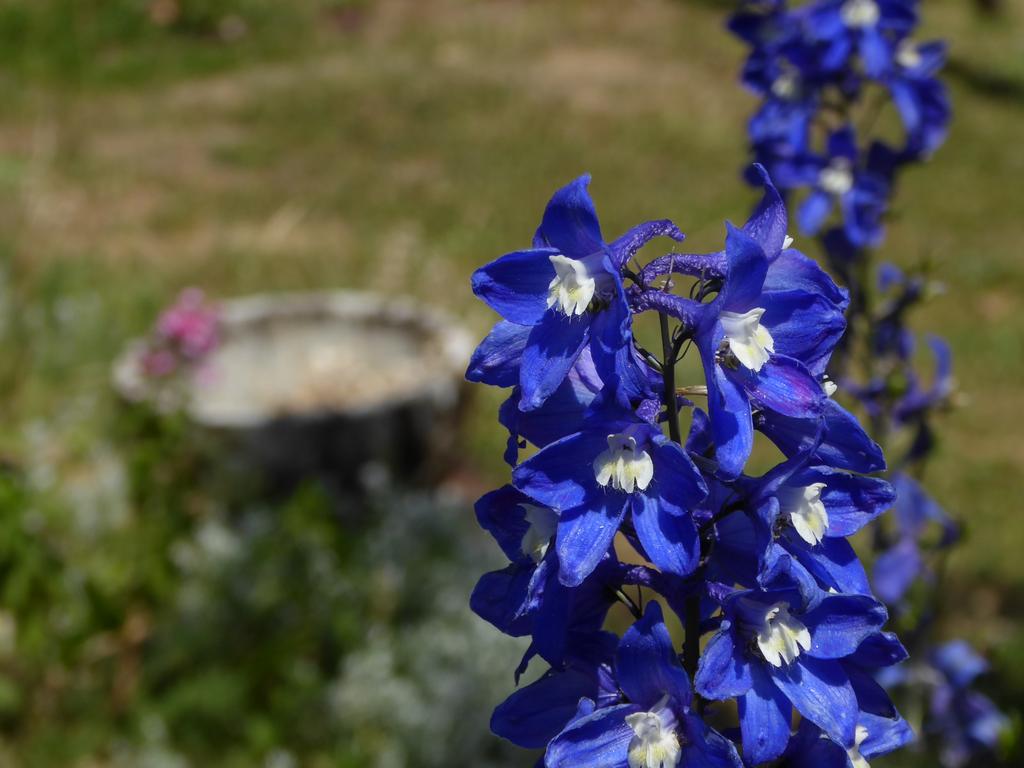 {Clic pour voir plus grand}