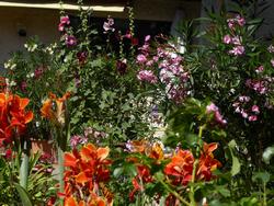 Click to see big picture (1024x768 pixels; 192 KB)