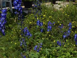 Click to see big picture (1024x768 pixels; 231 KB)