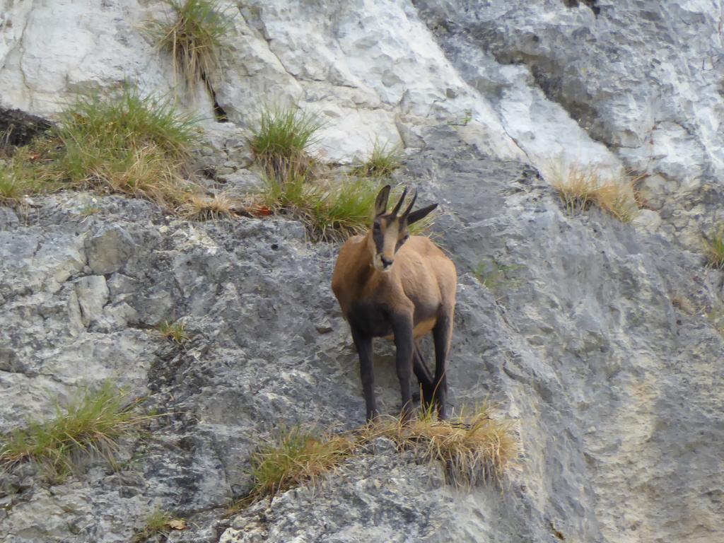 {Clic pour voir plus grand}