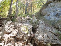 Click to see big picture (1024x768 pixels; 251 KB)